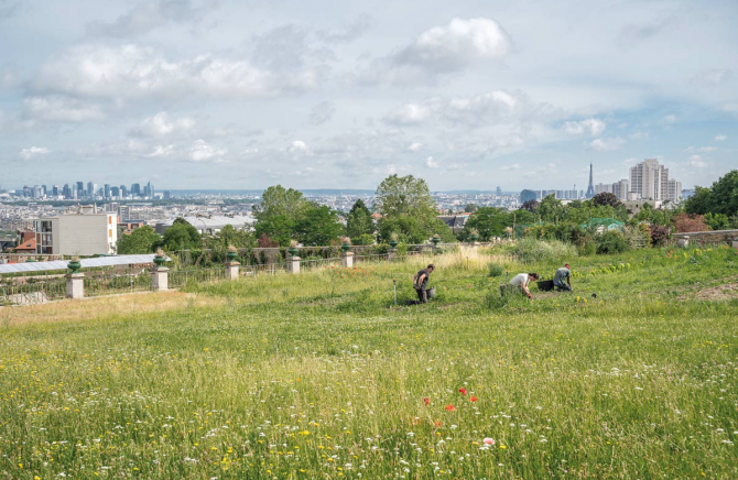 Décors naturels Île-de-France