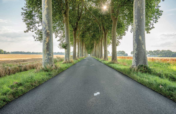 Décors naturels Île-de-France