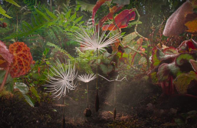 Planète de Momoko Seto